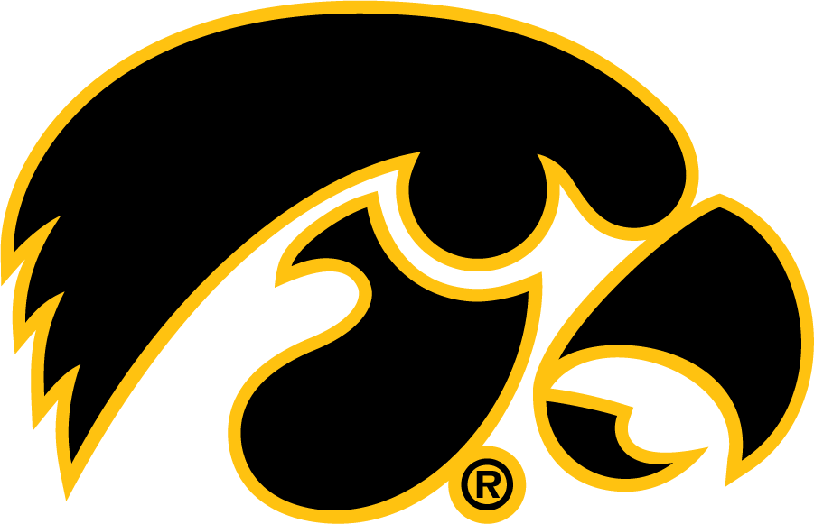 Iowa Hawkeyes 1979-Pres Alternate Logo iron on transfers for clothing
